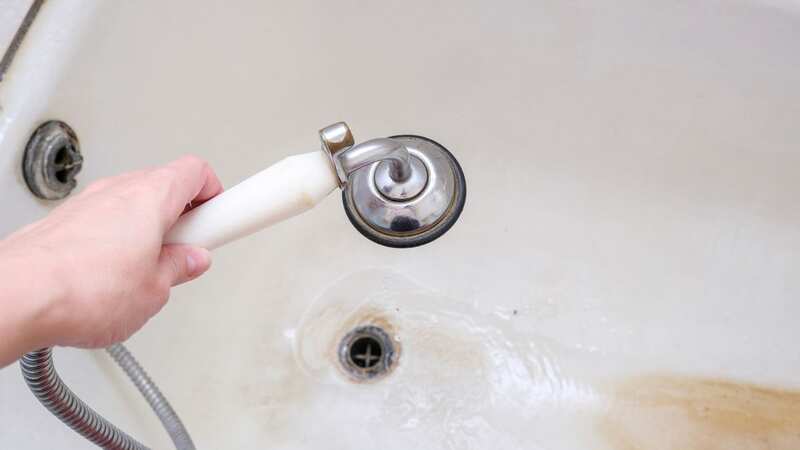 There are methods you can use to remove limescale (Stock Image) (Image: Getty Images/iStockphoto)