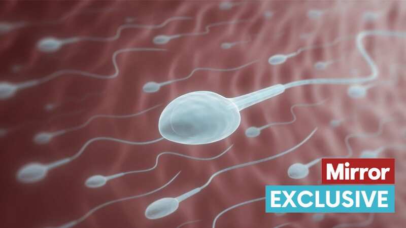 Sperm levels among men have more than halved in the last 50 years (Image: Getty Images/Science Photo Library RF)