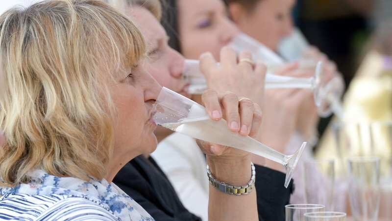 Prosecco could be wiped out by climate change, according to new research (Stock photo) (Image: SWNS)