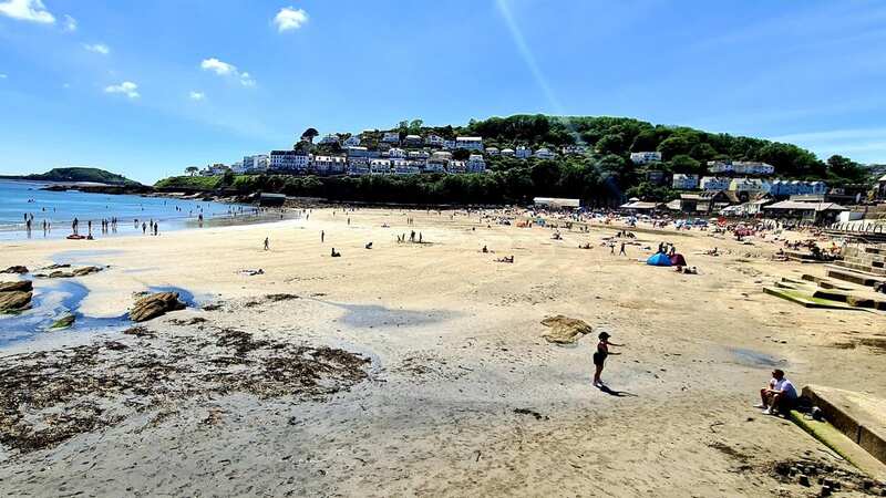 Many beaches in south west England have had a warning of pollution (Image: Steve O