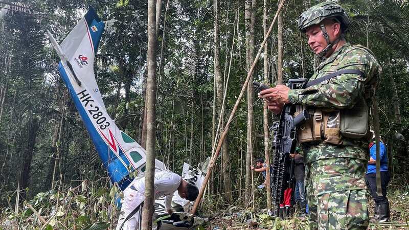 The plane was upright in the trees following the fatal crash. (Image: Colombian army/AFP via Getty Ima)