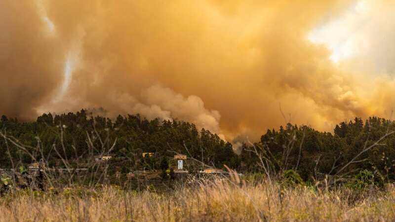 Fires in La Palma have sent alarm bells ringing across the region (Image: ASSOCIATED PRESS)