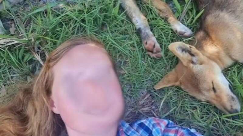 A woman was fined for posting a selfie dangerously close to sleeping dingoes (Image: CEN)