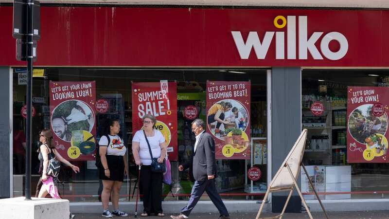 Wilko could reportedly be sold (Image: In Pictures via Getty Images)