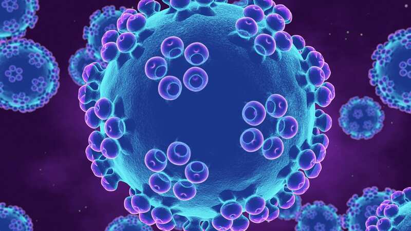 HPV is one of the most common STIs, with hundreds of different strains. (Image: Getty Images/Science Photo Library RF)