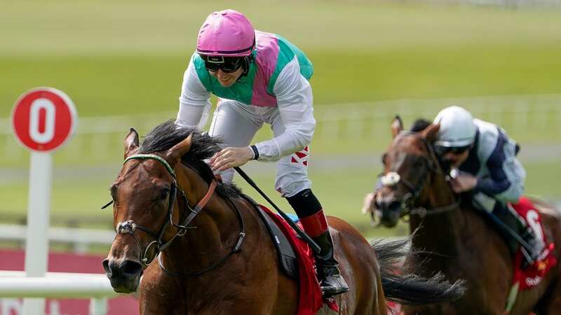 Gallop to decide whether Westover lines up in eagerly anticipated King George