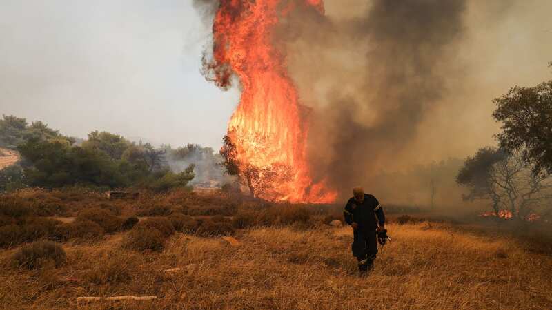 Over 19,000 holidaymakers were rescued from Rhodes 