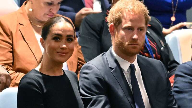 Harry and Meghan 