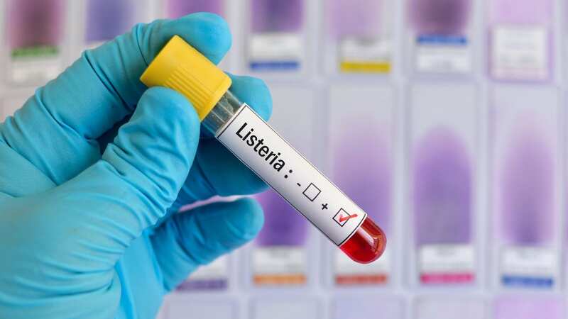 Listeria can be deadly among certain demographics (Image: Getty Images/iStockphoto)
