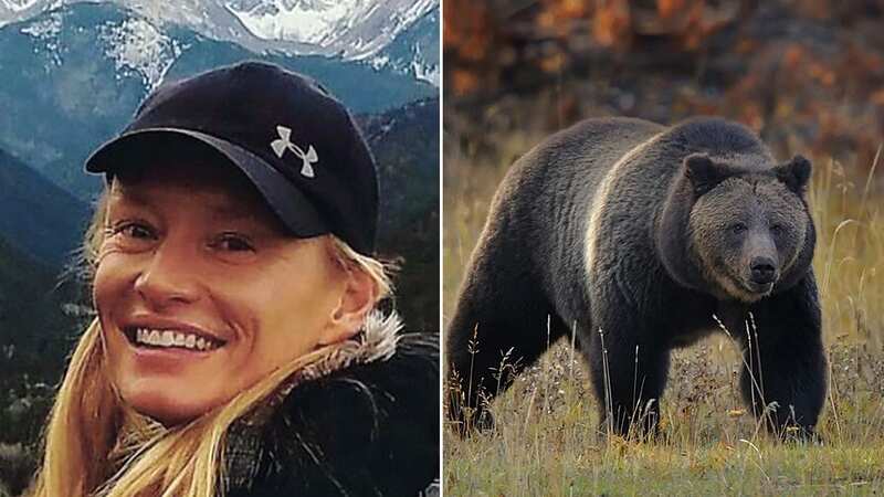 Park wardens are searching for the bear that killed Amie Adamson (Image: getty)