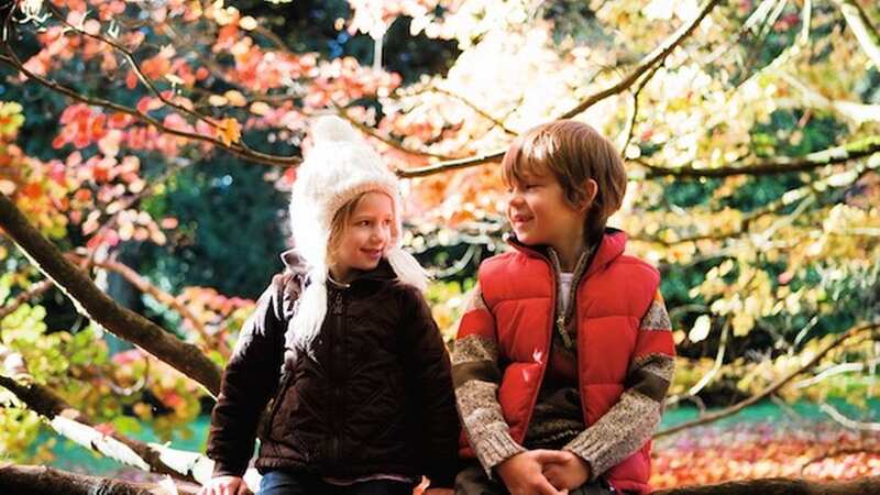 Enjoy a short break in the Autumn (Image: Haven)