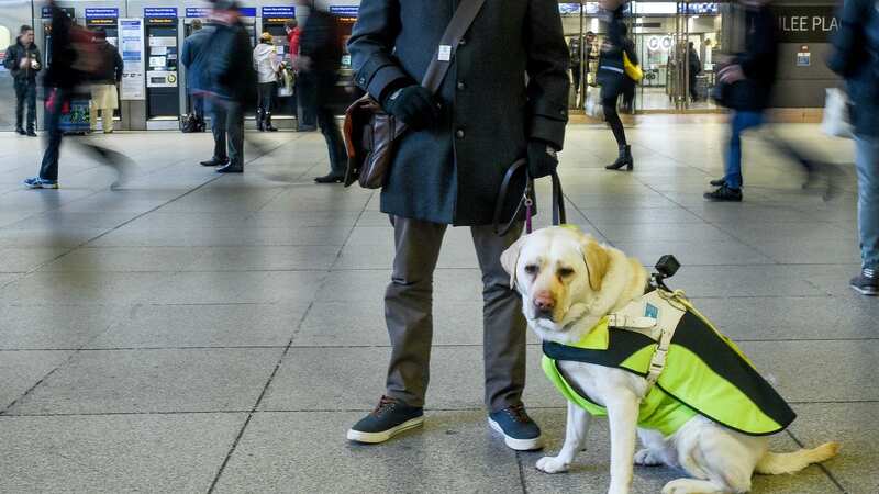 Over three-quarters of visually impaired Brits fear being left unable to use trains if planned ticket office closures go ahead (Image: SWNS)