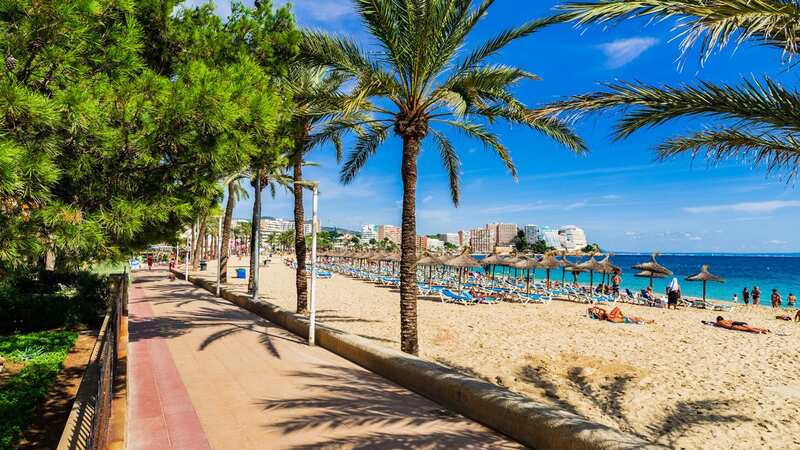 Wildfire warnings have been issued in Majorca (Image: Getty Images/iStockphoto)