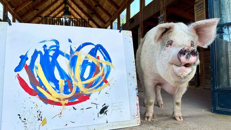 Pigcasso with one of her works (Image: Pigcasso / CATERS NEWS)