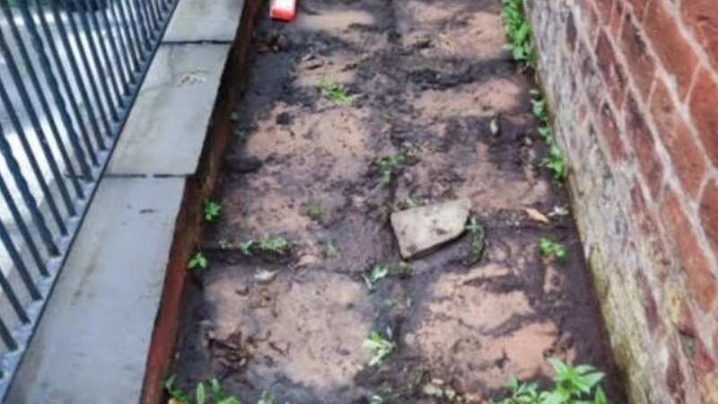 Gaps where paving stone was stolen from a woman