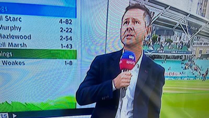 Ponting vowed to find out who had thrown a grape at him (Image: Sky Sports)