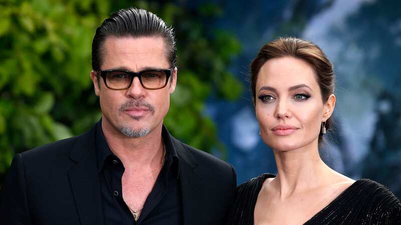 Brad Pitt and Angelina might have reached a settlement about their vineyard (Image: PA)