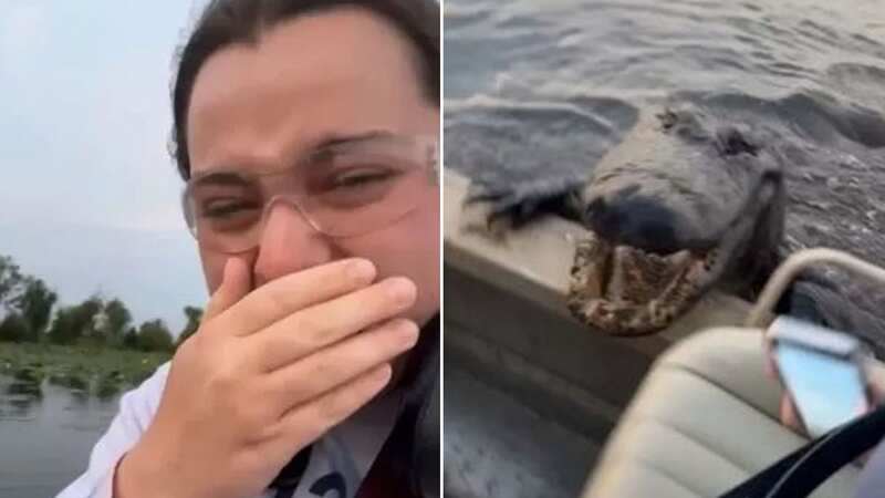 Huge alligator lunges from water and snaps at boat sending tourists into panic
