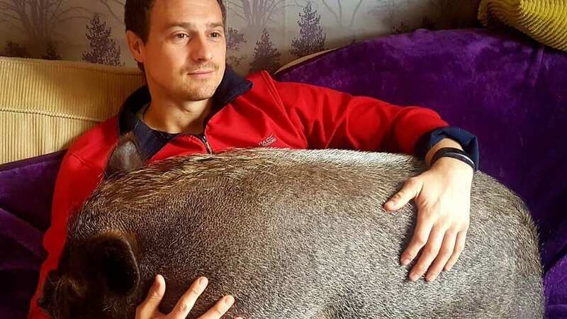 John Beresford with pet pig