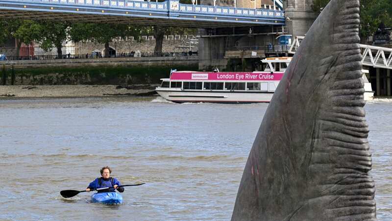 Londoners horrified as three enormous shark fins spotted in the River Thames