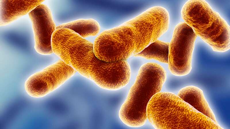 3D-computer artwork of bacteria that causes botulism (Image: Getty Images/Science Photo Library RF)