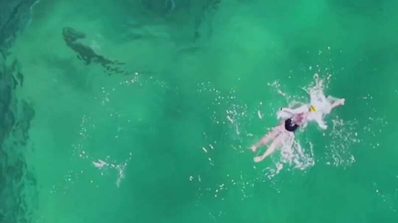 Chilling moment raging shark seen feeding metres from swimmers at popular beach