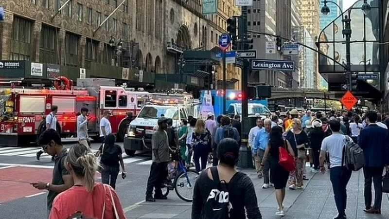 The incident took place near Grand Central Station (Image: @mbesheer/Twitter)