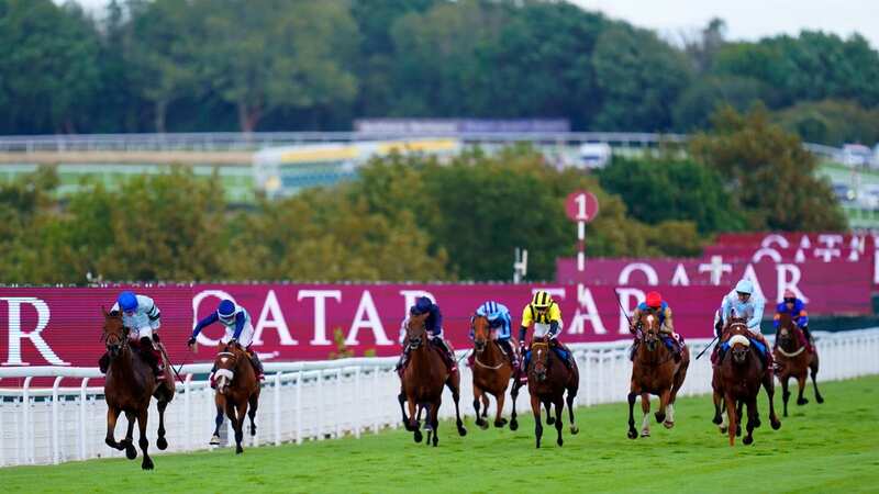 Quickthorn is not for catching in the Goodwood Cup (Image: PA)