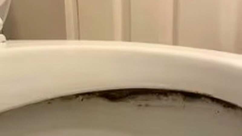 The toilet was looking unsightly (Image: Sophie Harris)