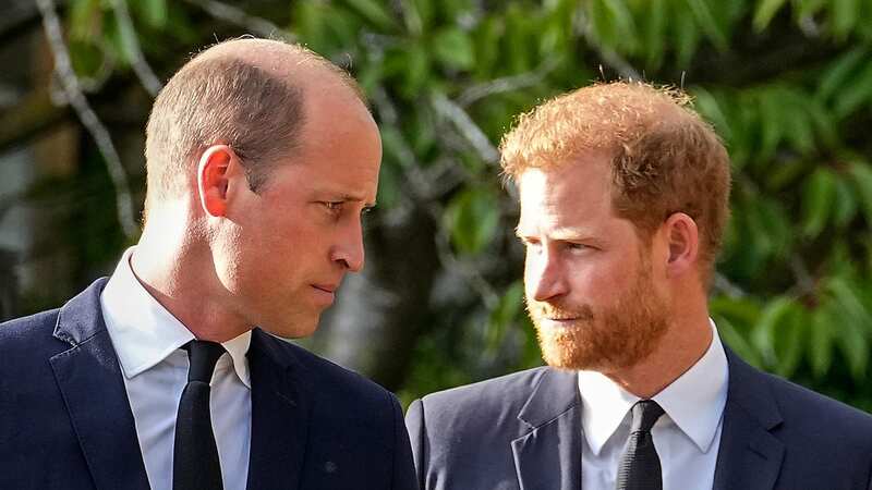 Prince William and Prince Harry (Image: AP)