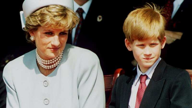 Princess Diana loved taking Harry and William to McDonald