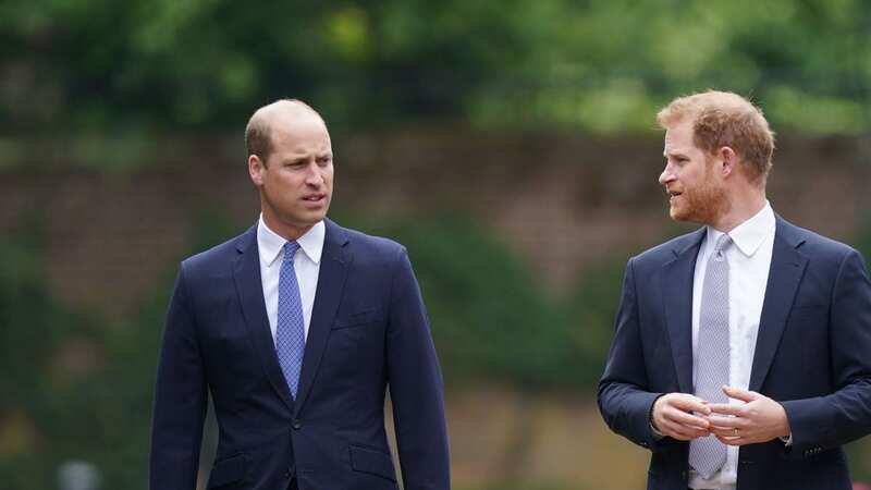 Prince William and Prince Harry in July 2021 (Image: Getty Images)