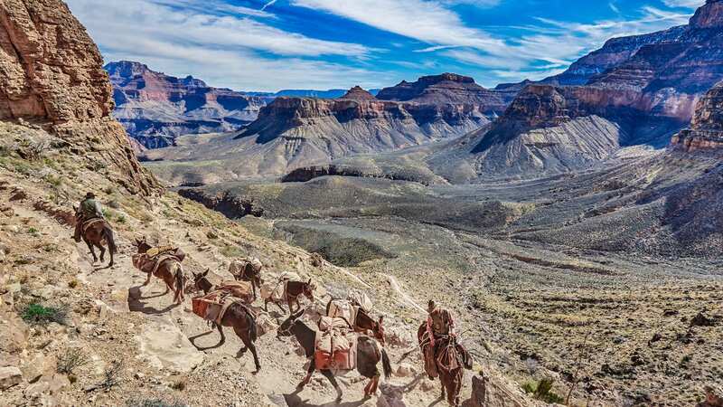 The Grand Canyon National Park has been named the deadliest in the US (Image: Getty Images)