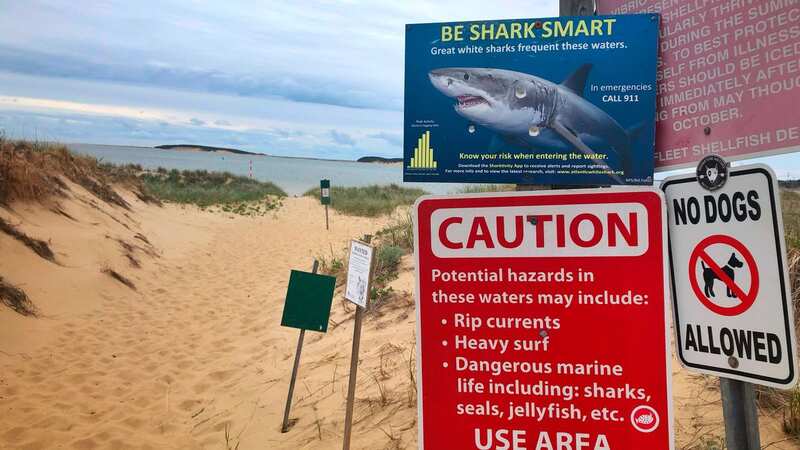 A warning sign is prominently displayed to beach goers at Indian Neck Beach in Cape Cod (Image: Universal Images Group via Getty Images)
