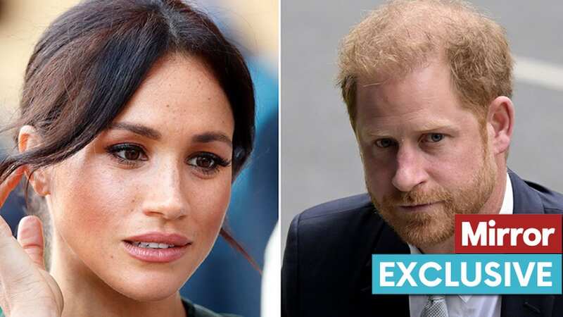 Prince Harry and Meghan Markle are thought to be producing a new film (Image: PA)