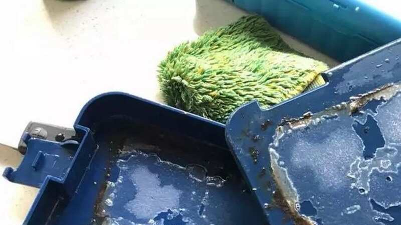 The mum has urged other parents to check (Image: Grace Bollen/Facebook)
