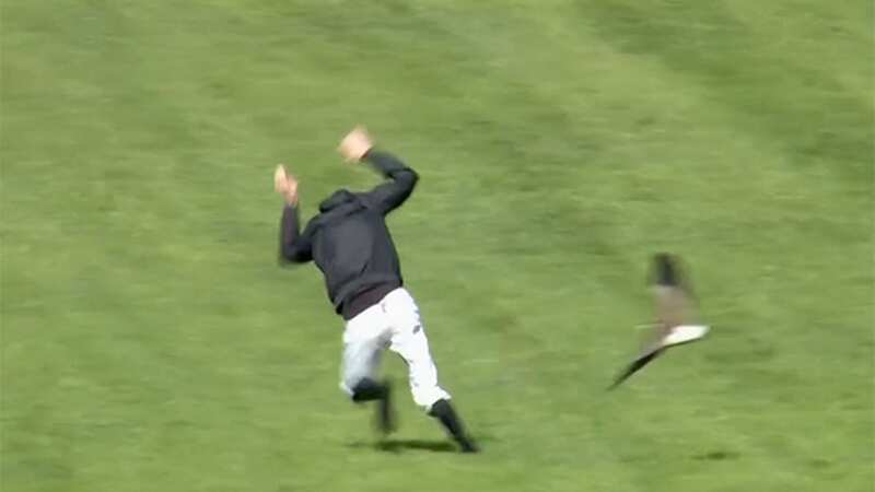 Jockey Jye McNeill ducks for cover from an angry bird