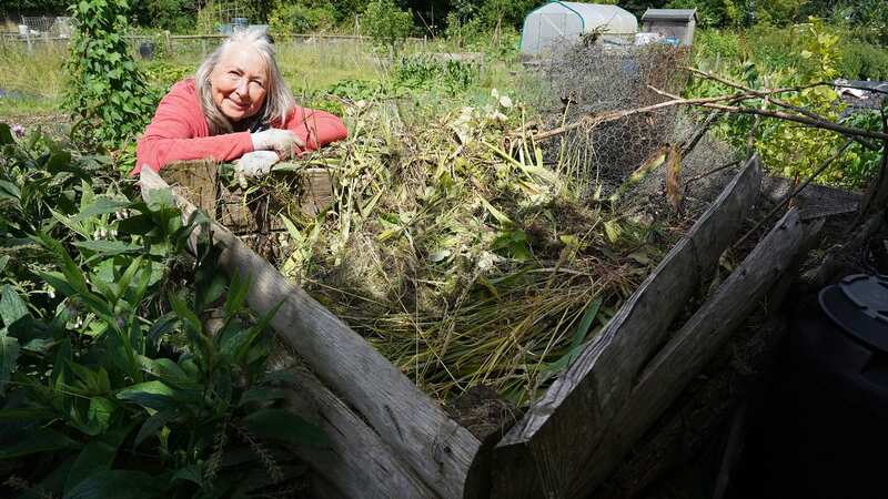 Val Bourne in her garden (Image: MARC GIDDINGS 07799772824)