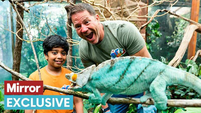 Aneeshwar and Steve with chameleon (Image: BBC Studios)