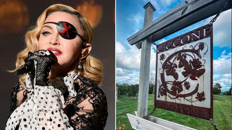 Inside Madonna