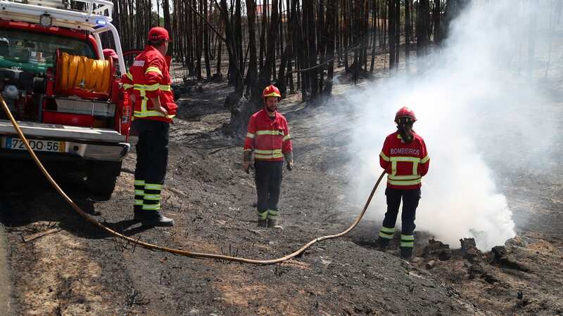 Emergency chiefs have drafted in nearly 1,000 firefighters to the Algarve region (Image: SplashNews.com)