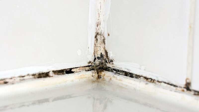 Mould can be tricky to clean from your silicone sealant (Image: Getty Images/iStockphoto)