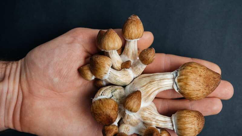 A mum thinks taking magic mushrooms makes her a good parent (Image: Getty Images/iStockphoto)