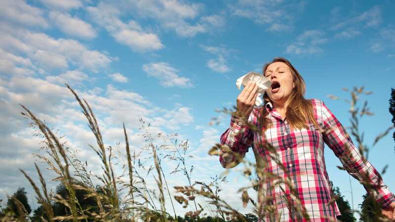 The news spells misery for millions of hay fever sufferers (stock image) (Image: Getty Images/Image Source)