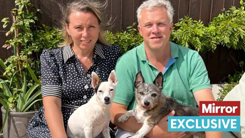 Boss and Teddy (right) died during a stay in the kennel - and management said Daisy (left) killed them (Image: Olga Shaw)