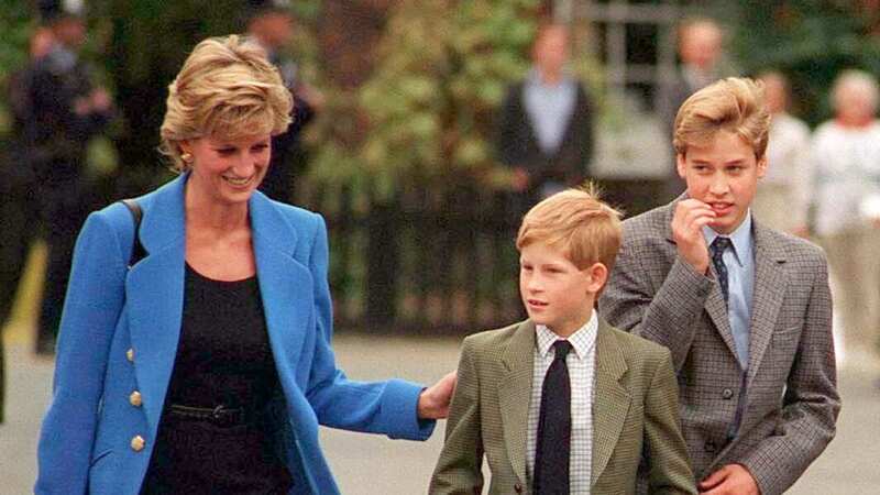 Princess Diana got William rude birthday cake - Harry
