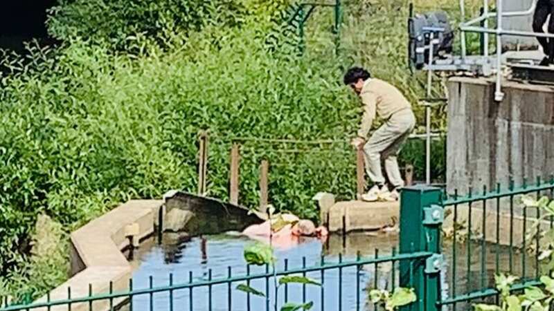 The moment the man was spotted in the water (Image: Derbyshire Refugee Solidarity)