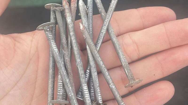The nails Alanna found (Image: Grimsby Telegraph / MEN Media)