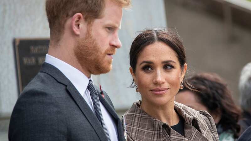 Harry and Meghan have tried to carve out Hollywood careers (Image: Getty Images)