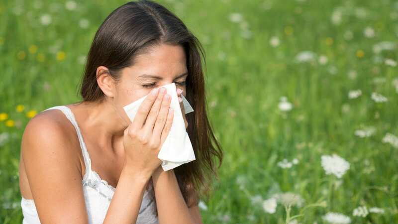 Debilitating symptoms can include itching in the nose, eyes, roof of the mouth and ears, sneezing, runny nose and watery eyes and nasal blockage (Image: Getty Images/iStockphoto)